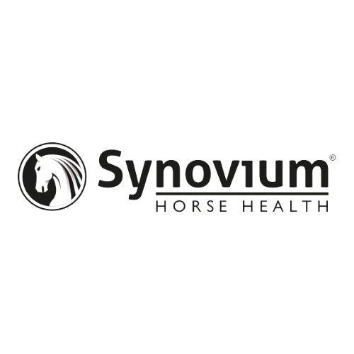 Synovium
