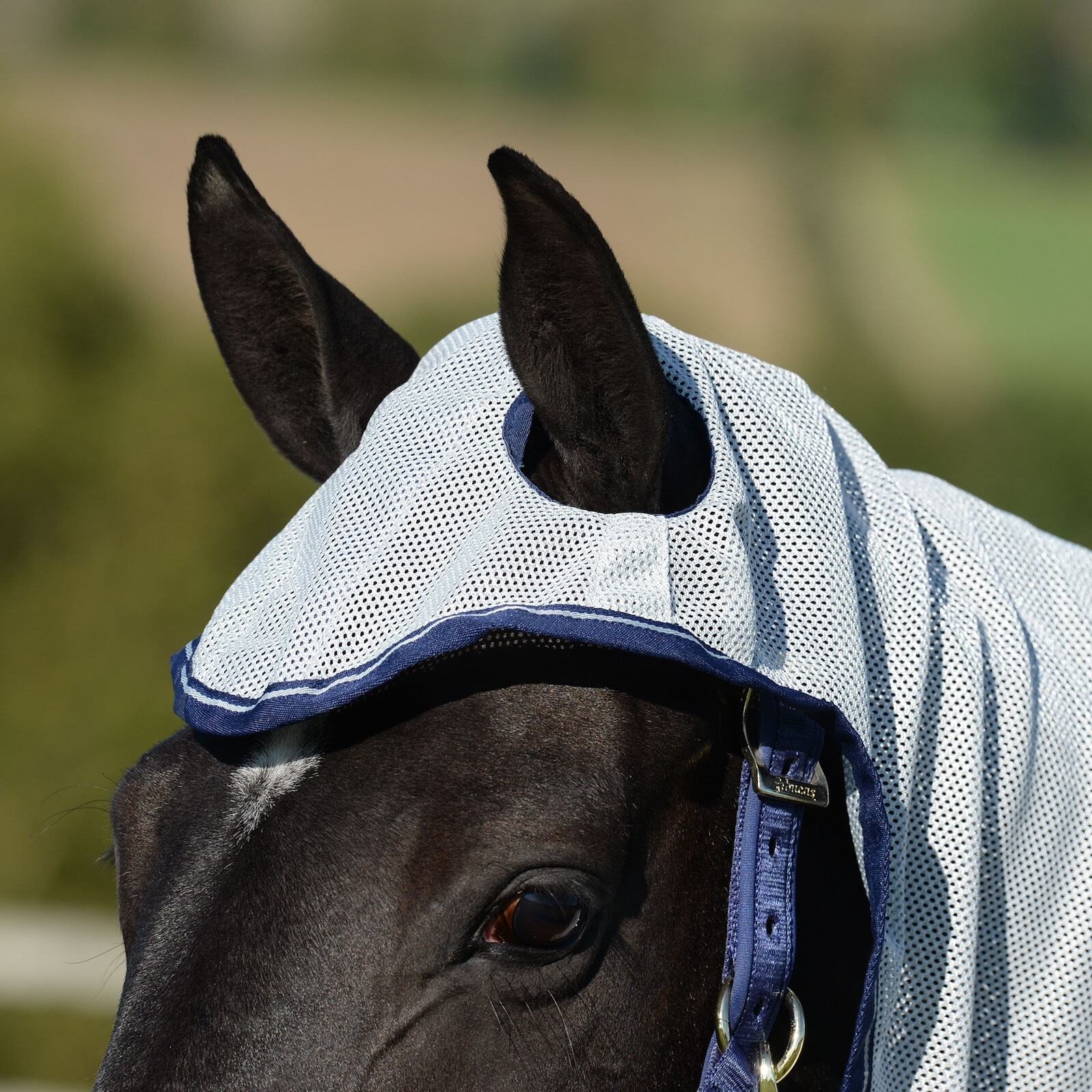 Gastblog Bucas – Bucas Buzz Off X Vliegendeken