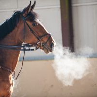 Product uitgelicht: TRM Equivent ND Siroop