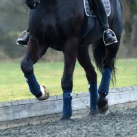 Collageen vs. Glucosamine