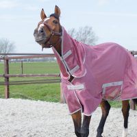 Update zomercollectie Bucas 2017