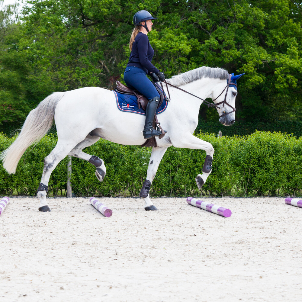 Gastblog van Cavalor - Onderhoud de gewrichten van je paard met deze tips!