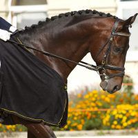 Het supplement voor spieropbouw: NAF M Power