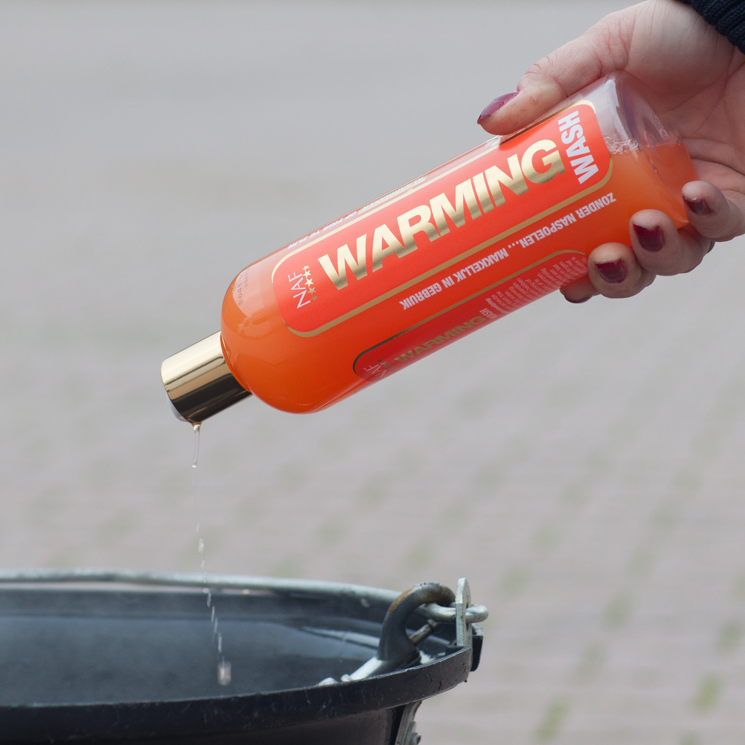 Een schoon en fris paard in enkele minuten