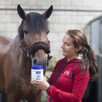 Magnesium – krijgt jouw paard hier wel genoeg van binnen?