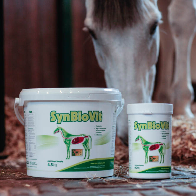 SynBioVit, geef jij het?