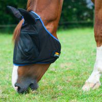 Voorkom een miskoop, vind het juiste vliegenmasker voor jouw paard