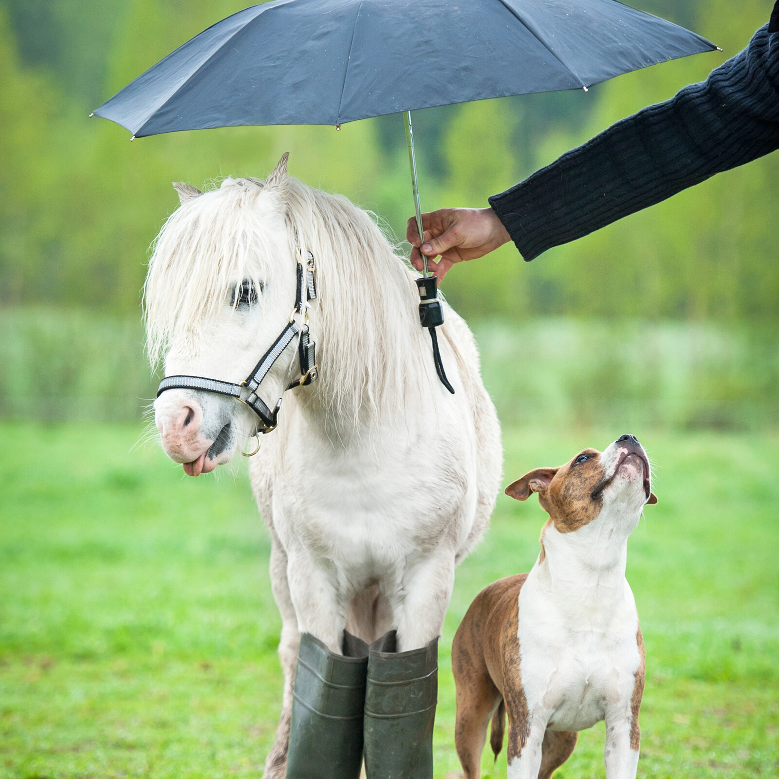 5 tips voor wisselvallig weer