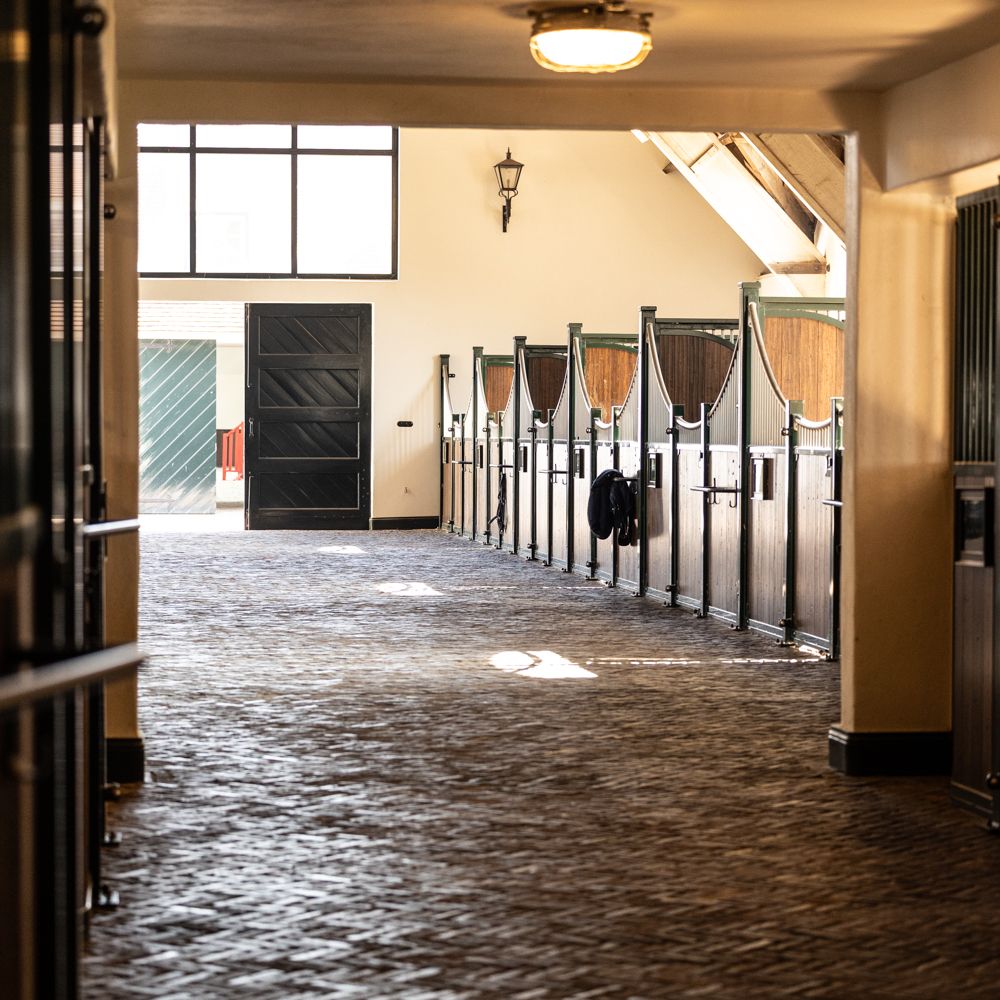 Stable & Toys