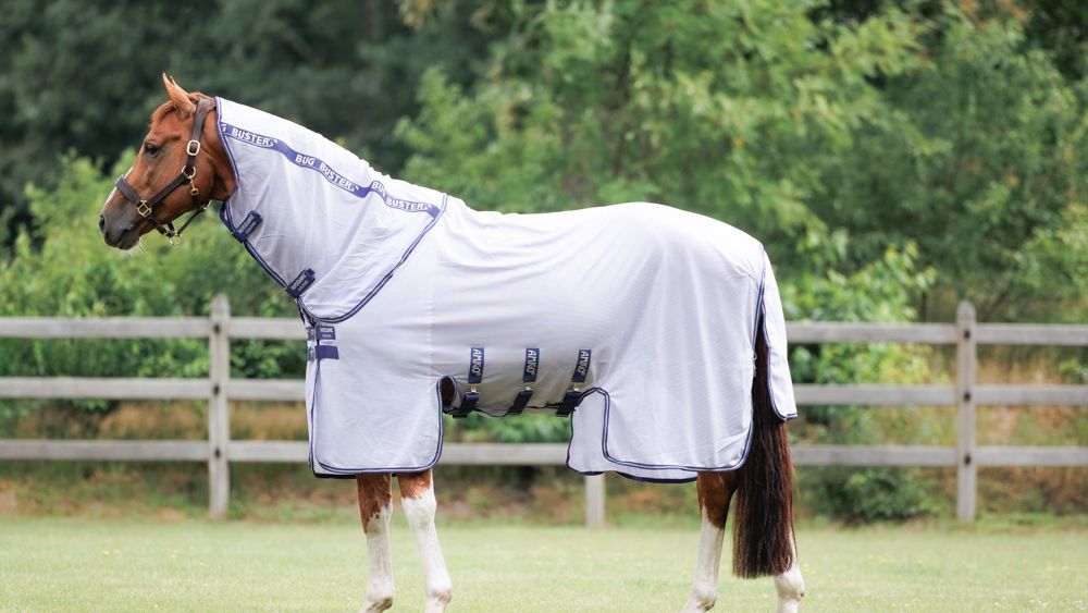 Fly Rugs