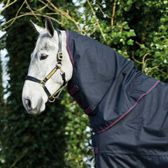 Amigo Bravo 12 XL Hood (Lite 0g) 
