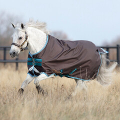 Amigo Pony Bravo 12 Lite