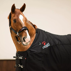 CATAGO FIR-Tech halter navy cob