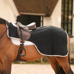 Dominick Exercise Rug