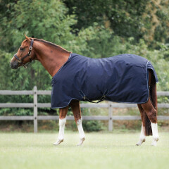 Dominick Paddock Rug 0 g