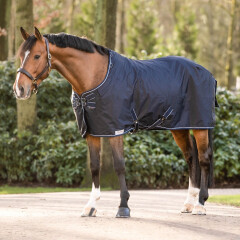 Dominick Turnout Rug Medium 150 G