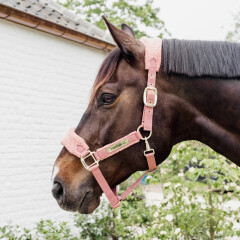 Kentucky Teddy Fleece Halter