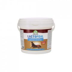 Audevard Lactofoal