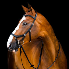 Horseware Micklem 2 Bridle Deluxe Competition