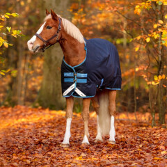 Amigo Bravo Medium Pony