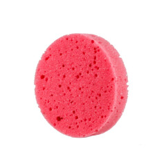 SPONGE ROUND