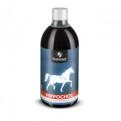 Synovium Hippochol