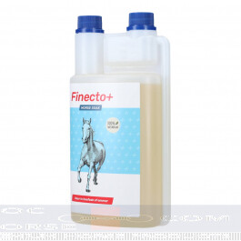 Finecto+