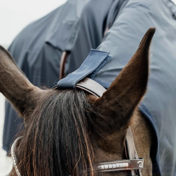 Horse raincoat store