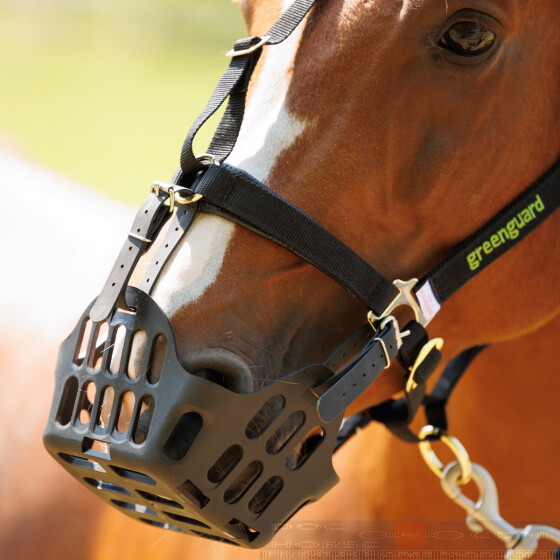 Shires Greenguard Muzzle DocHorse
