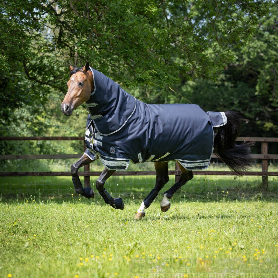 LeMieux Arika Storm-Tek Turnout Rug 200g - DocHorse