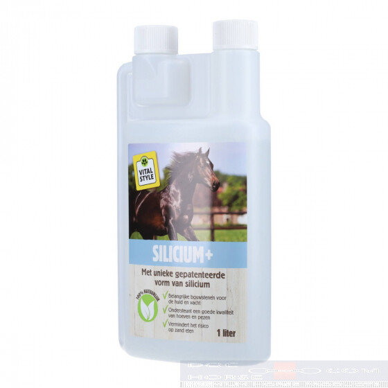 Vitalstyle Silicium+ - DocHorse