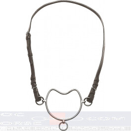 chifney bit and headpiece