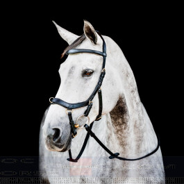 Horseware Rambo Micklem Deluxe Competition Bride - Noir