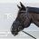 Kentucky Anti Fly Nose Net Black Full 