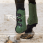 QHP Tendon Boots Champion