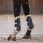QHP Tendon Boots Sensisoft