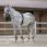 Riding World Long Reins
