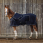 Equithème Summer Sheet Mirco Mesh