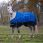Equithème Turnout Rug 1200D Tyrex Aisance 50 G