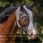 QHP Fly Mask Super bug