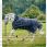 Rambo 1680D Wug Turnout 0g Navy/Hunter Green
