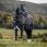 Amigo Turnout Rug FieldSafe Reflectech Plus 1200D 0g