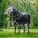 Amigo Turnout Rug 1200D 50g Plus