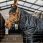 Horseware Hood Easy-Layer 100g