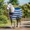 Horseware Fleece Cooler Newmarket Navy
