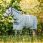 Horseware Newmarket Fly Sheet Plus Pony