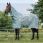 Horseware Newmarket Fly Rug Plus