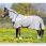 Amigo pony mio fly rug