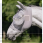 Horseware Vliegenmasker Defense