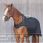 Back on track walker rug